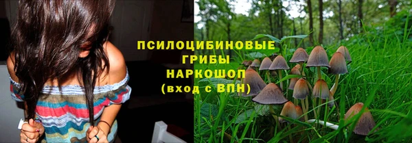 не бодяженный Арсеньев