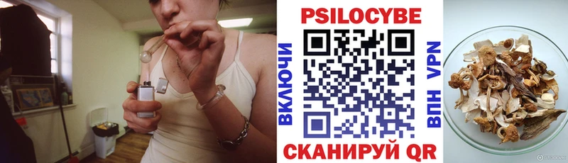 hydra ССЫЛКА где можно купить Троицк Псилоцибиновые грибы MAGIC MUSHROOMS