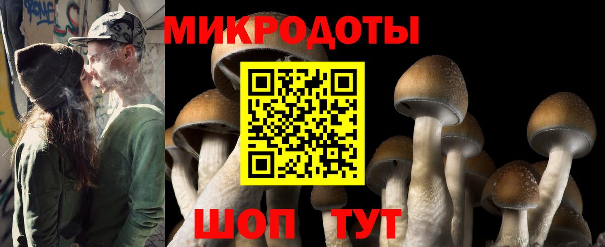 Псилоцибиновые грибы MAGIC MUSHROOMS  наркотики  Троицк  Вход с VPN  Псилоцибиновые грибы GOLDEN TEACHER 